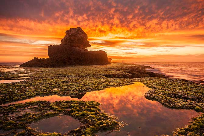 Liz Hubbert - Bay Of Islands