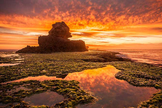 Liz Hubbert - Bay Of Islands