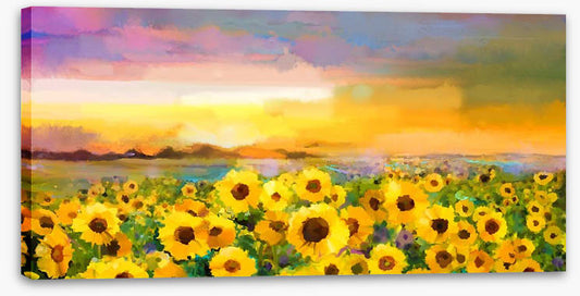 The sunflower meadow