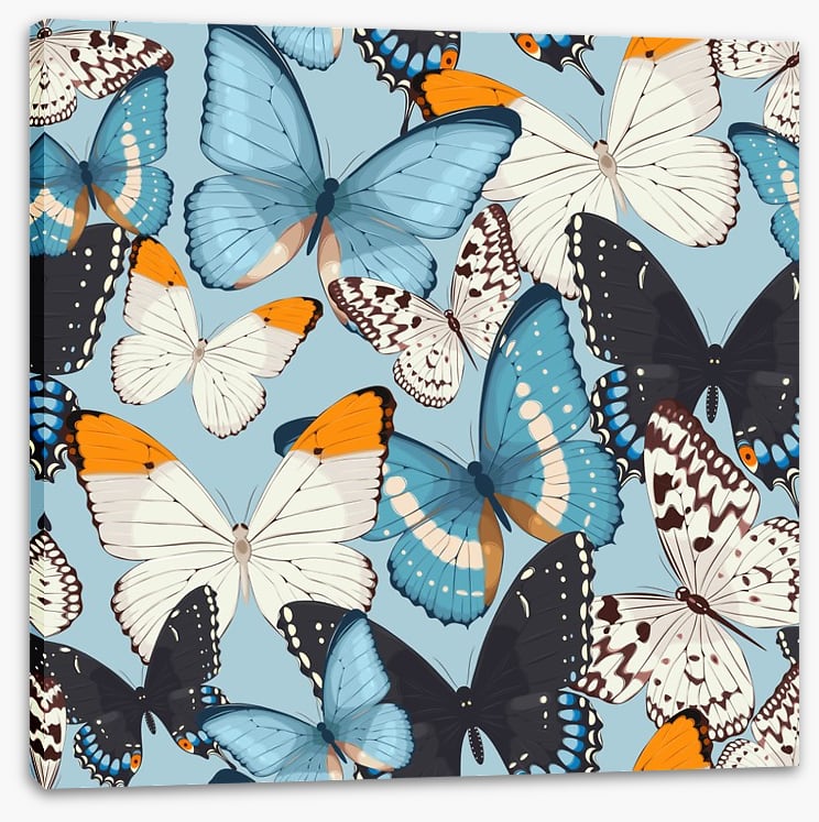 Butterflies