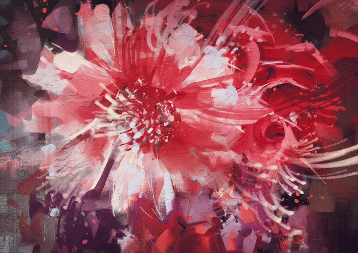 Bloom