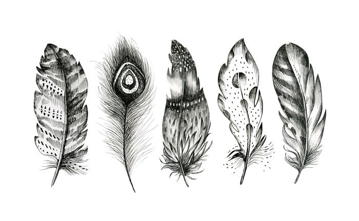 Monochrome quills