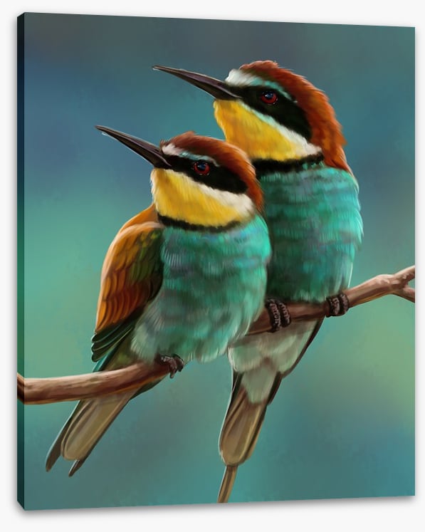 Bee-eater beauty