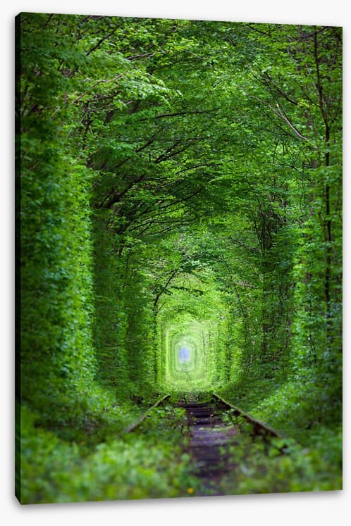 The Tunnel of Love, Ukraine