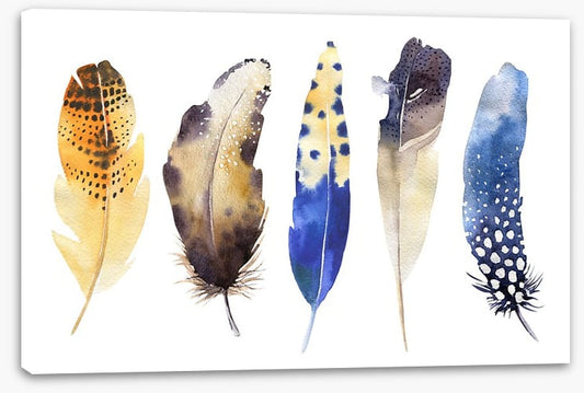 Feather me boho