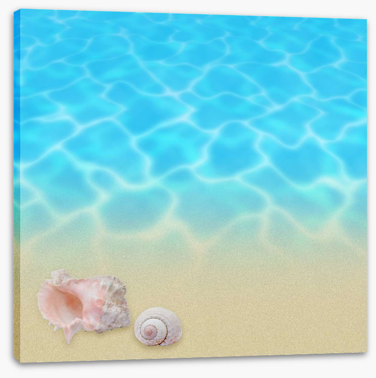 Seashell beach