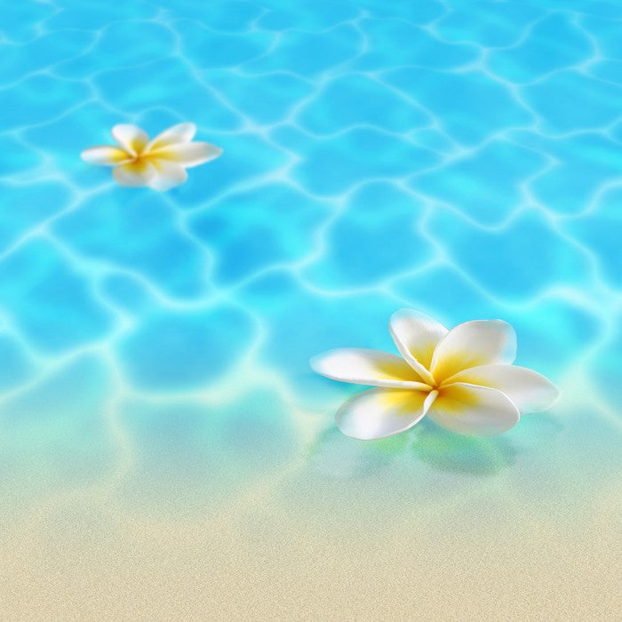 Frangipani beach