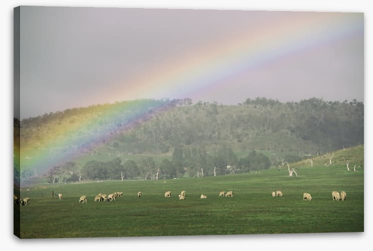 Tasmania