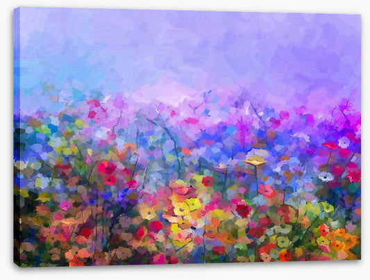 Dusk in the cosmos meadow