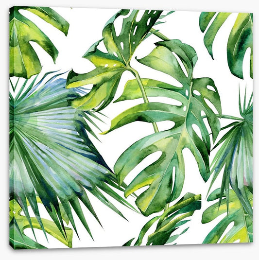 Tropical jungle leaves