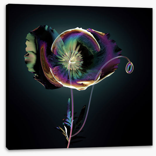 The glass poppy