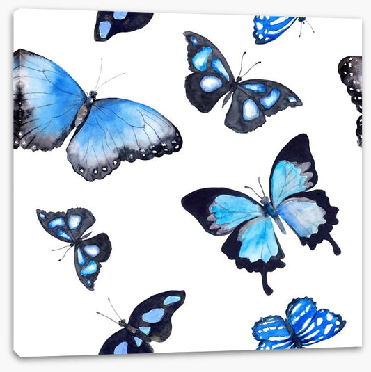 Butterflies of blue
