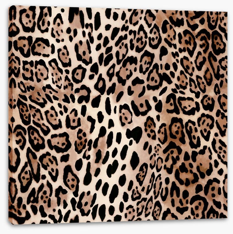 Animal Print
