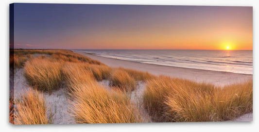 Goodnight golden dunes