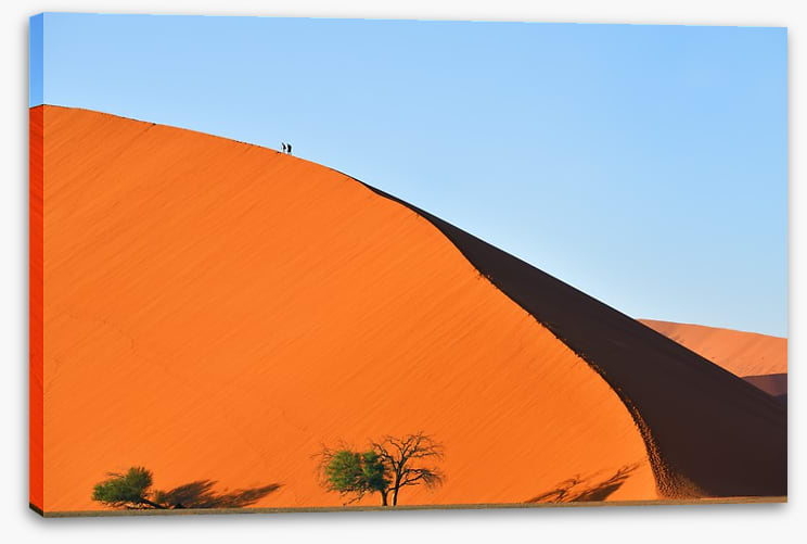 On top of the dune