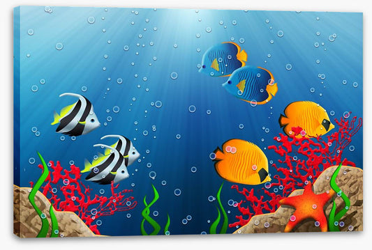 Under the tropical sea