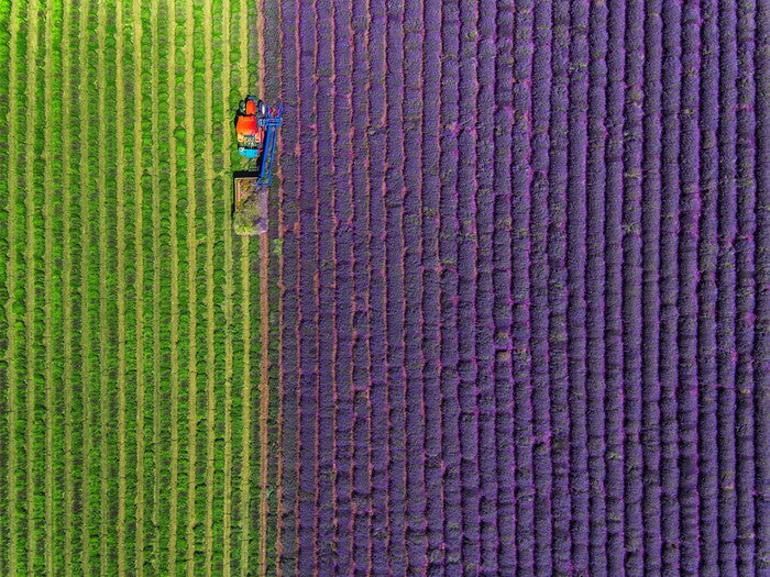Agriculture