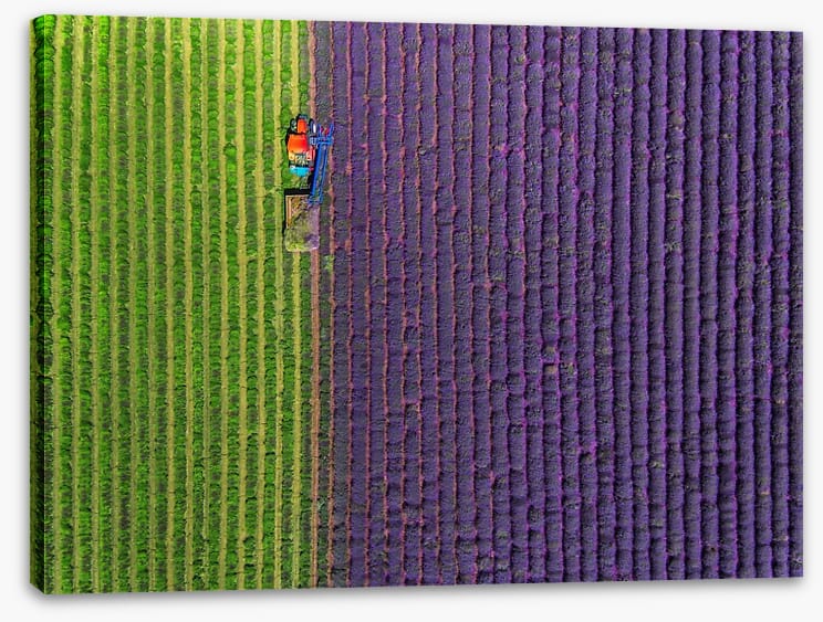 Agriculture