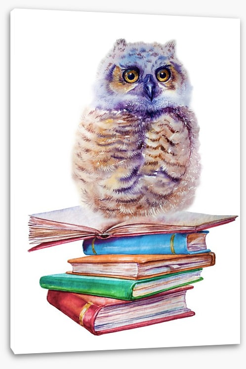 Book owl balance