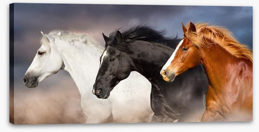 The three musketeers