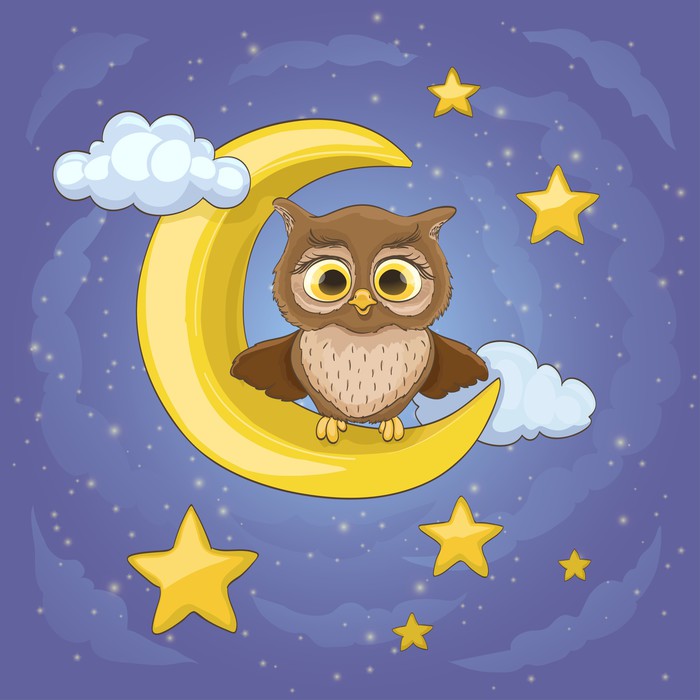 The moon owl