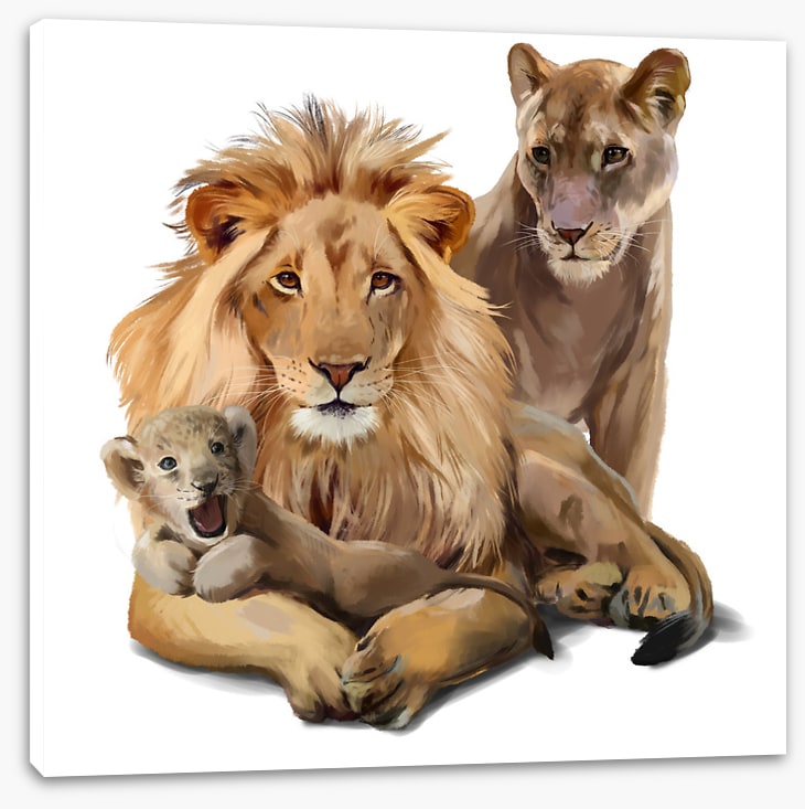Cub makes three