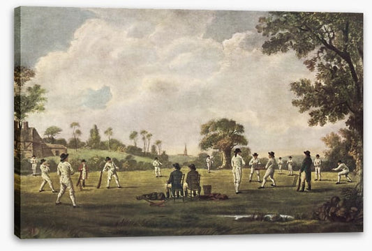 Cricket on the green