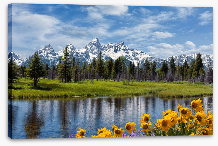 Grand Teton wilderness