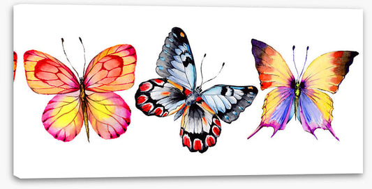 Butterfly trio II