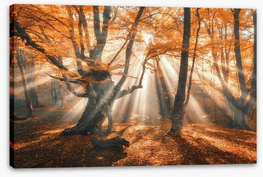 Aethereal autumn forest