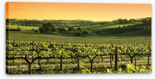 Barossa Valley sunset