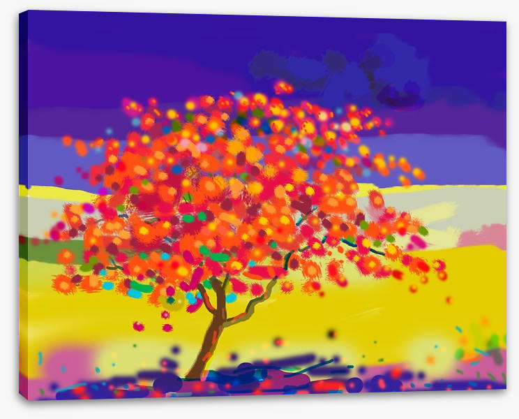 The peacock tree