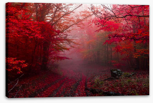 Red forest mist