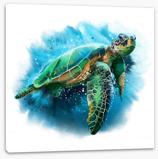 Sea turtle splash