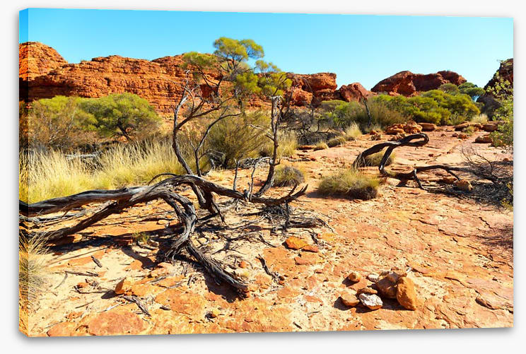 Kings Canyon climb