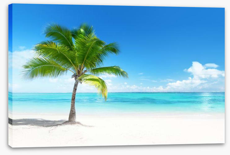 One palm beach
