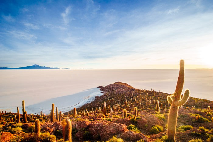South America