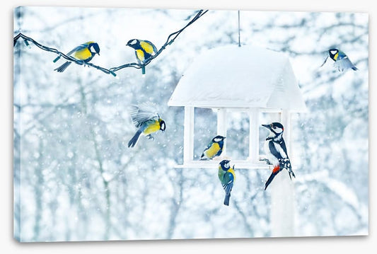 Feeding with friends