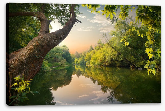 Mirror river evening