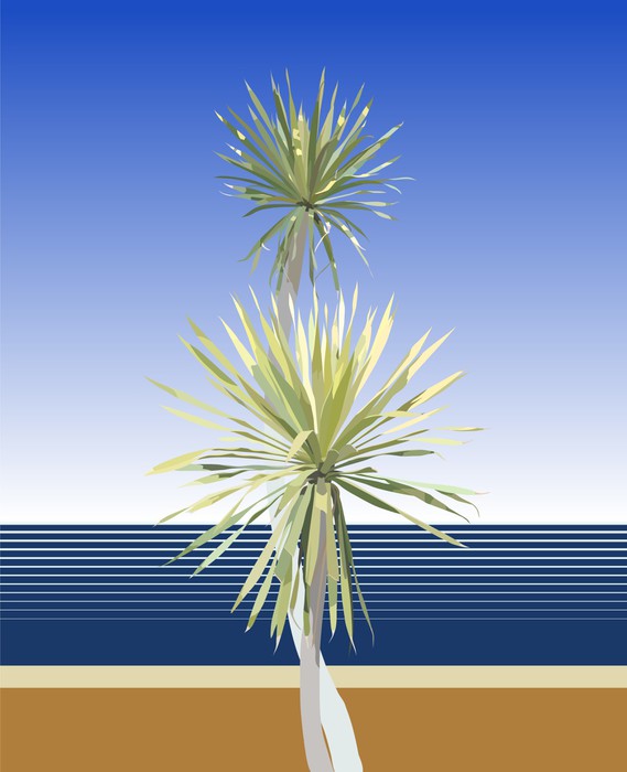 Dracaena duo