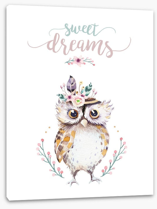 Sweet dreams owl