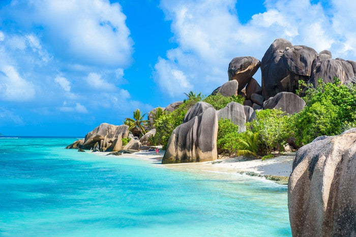 The boulder beach