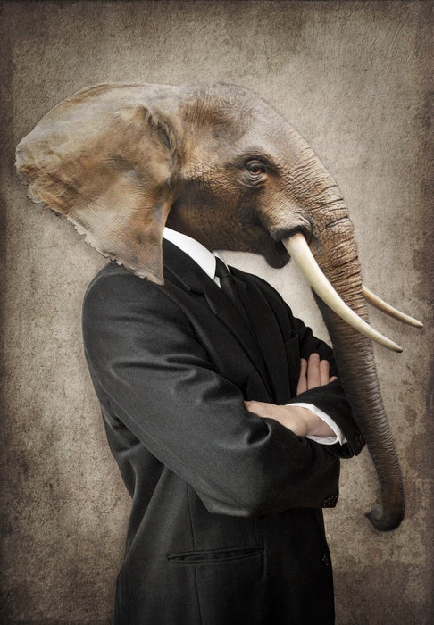 Tusk the leader