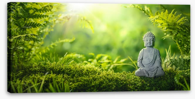 Meditation in the moss