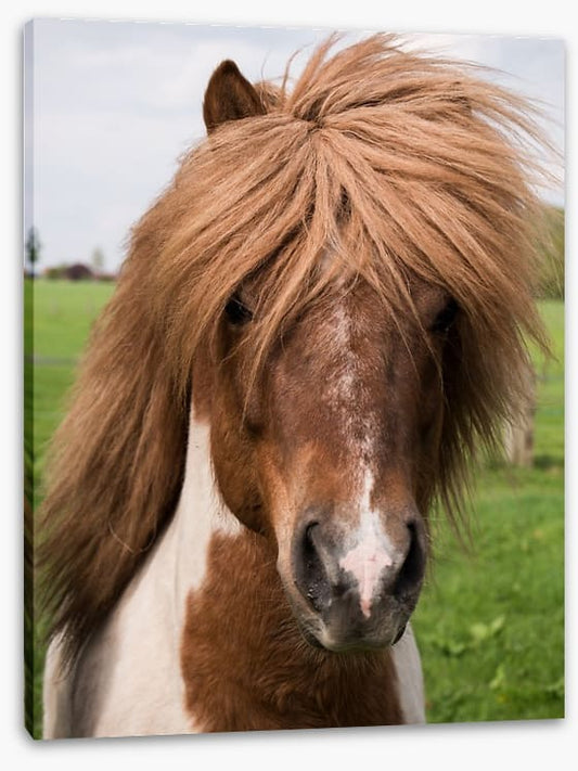 Straight from the salon