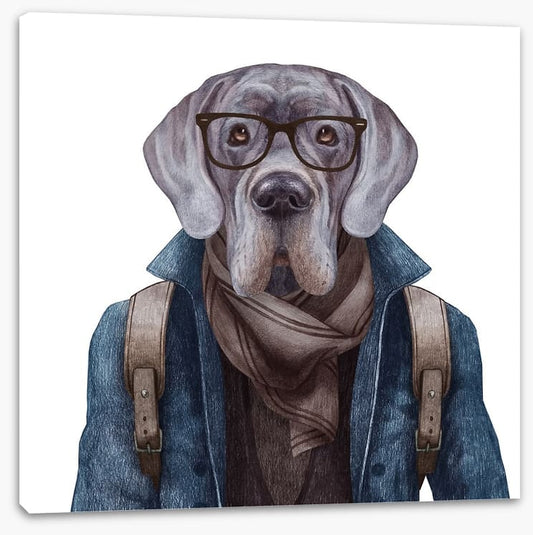 Hipster hound