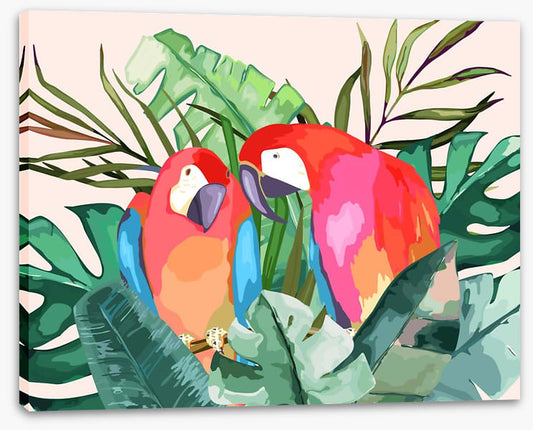 The parrot pair
