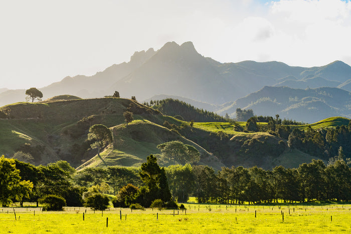 New Zealand