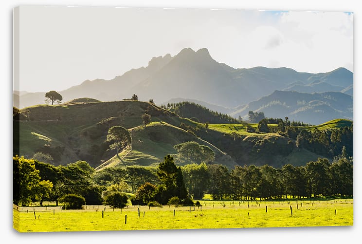 New Zealand