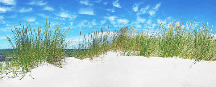 Green grass dunes